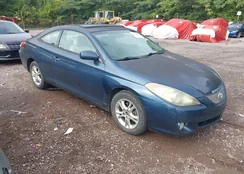 4T1CE38P06U599819: 42865609