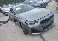 3MW23CM03S8F61312: 42874073