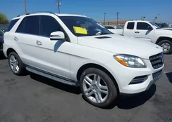 4JGDA5JB2FA529220: 42874988