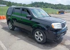 5FNYF4H50DB056830: 42876091