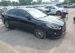 5NPE24AF0KH777374: 42876756