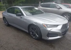 19UUB5F52MA016004: 42879915