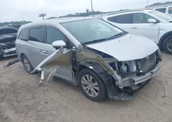 5FNRL5H69FB001467: 42881686