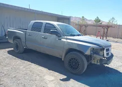 1D7RW3GPXBS667116: 42895818