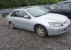 1HGCM66535A076905: 42895314