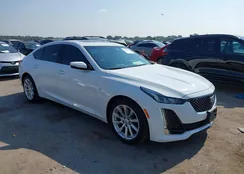 1G6DW5RK8N0136744: 42899249