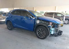 JTJSJRDZ5M2149529: 42902913