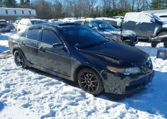 19UUA66236A046338: 43906008