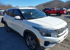 KNDEPCAA3N7248655: 43906332