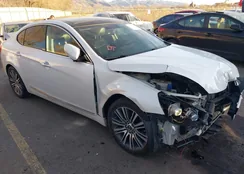 KNALN4D76F5172278: 43906345