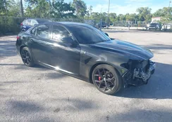 ZARFAMAN4L7635748: 43907190