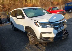 5FNYF6H33MB083918: 43906529