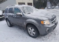 1FMCU9DG9BKB50673: 43906822