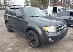 1FMCU03729KA80571: 43906834