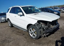 4JGDA5JB0JB002960: 43907968