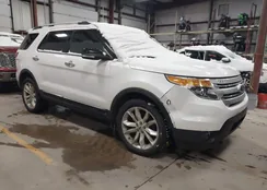 1FM5K8D87EGA84262: 43908060