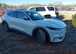 3FMTK1RM9MMA49280: 43908991