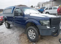 1FTMF1EM5BKD83118: 43909256