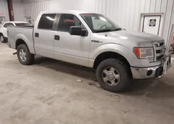 1FTFW1EF4DFB83966: 43909889