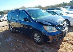 5FNRL38668B065084: 43910136