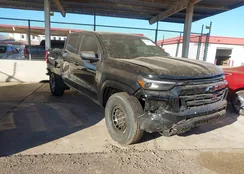 1GCPTDEK9S1124952: 43910925