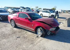 1ZVBP8AM4C5220704: 43910442