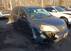 5J6RE4H3XBL113044: 43913107