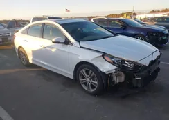 5NPE34AF0JH692692: 43912392