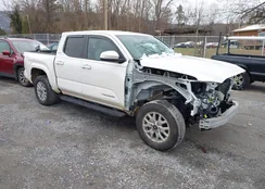 3TYLB5JN0RT004210: 43914330