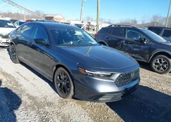 1HGCY1F40SA008040: 43914896