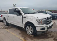 1FTEW1E48KFB16911: 43915054