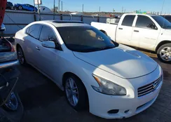 1N4AA51E39C851753: 43915819