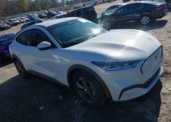 3FMTK1RM0NMA39352: 43915394