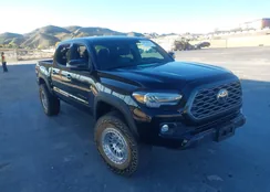 3TMCZ5AN1PM612998: 43917002