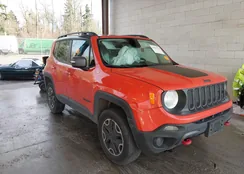 ZACCJBCT8GPD72704: 43917110