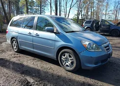 5FNRL38486B094226: 43917446