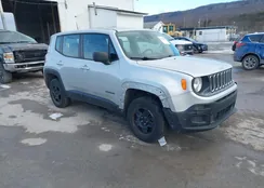 ZACCJBAB4JPG97433: 43918862