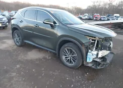 2T2GDCEZ8NC001983: 43919152