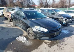 1C3CDFAA8FD390265: 43919386