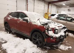 LRBFZPE42RD051556: 43920859