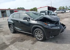 JTJDARBZ4M2193839: 43920868