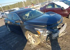 1N4AL3AP6DC903269: 43920598