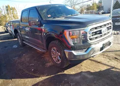 1FTEW1EP0NKD30586: 43920706