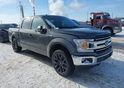 1FTEW1E53JKE46101: 43922491