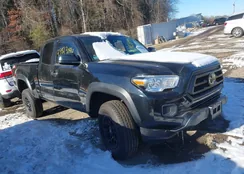 3TYSX5EN0MT007544: 43923844