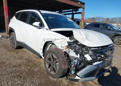 3KMJBCDE6SE021402: 43924102