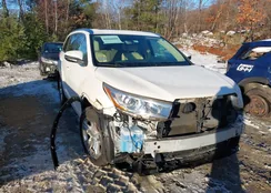 5TDDKRFH1FS073431: 43924307