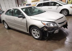 1G11B5SL1EF147542: 43925211