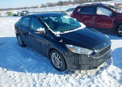 1FADP3FE6FL387345: 43924482