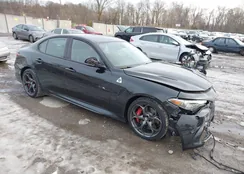 ZARFAMEV0M7648976: 43924676